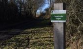 Tour Wandern Beauraing - RB-Na-28-En Famenne occidentale - Photo 3