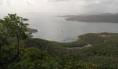 Trail Walking La Trinité - Presqu'île de la Caravelle 🌡️ - Photo 19