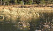 Tour Zu Fuß Unbekannt - Pilegrimsleden - Østerdalsleden - Photo 1