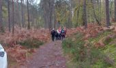 Trail Walking Fontainebleau - La Faisanderie  - Photo 1