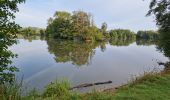 Randonnée Marche Fréteval - Fréteval - Etang Champs Bois Donjon - Photo 5