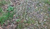 Percorso Marcia Bassignac - 250625 - Vendes - GRP,Montgroux,Viaduc - Photo 1