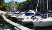 Tocht Stappen Cassis - XX-Cassis-Les Calanques-Miou-Pin-En Vau - Photo 11