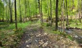 Trail Walking Libin - Redu 110523 - Photo 8