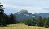 Tour Wandern Saint-Pierre-de-Chartreuse - Circuit autour de Pravouta (Saint Hilaire du Touvet) - Photo 14