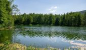 Tocht Te voet Höxter - Erlesene Natur - Dem Wasserdrachen auf der Spur - Photo 8