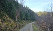 Tour Wandern Simmerath - A la découverte de Lammersdorf 🥾 - Photo 8