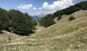Tour Wandern Pescasseroli - Col monte Tranquillo 17 km - Photo 9