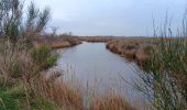 Trail Walking Canet-en-Roussillon - st cyprien, entre mer et étang  - Photo 9