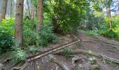 Percorso Marcia Parc Hosingen - Escapardenne Lee Trail: Hoscheid - Kautenbach - Photo 1