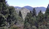 Tocht Stappen Le Bonhomme - Circuit de la Tête des Faux - Photo 19