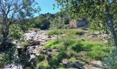 Trail Walking Le Muy - Rocher de Roquebrune, Les 2 frères - Photo 3