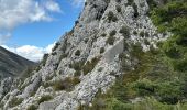 Trail Walking La Bastide - Le Lachens 2024 - Photo 2