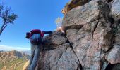 Tocht Stappen Le Muy - Les trois croix  Roquebrune - Photo 13