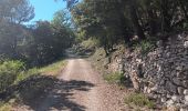 Trail Walking Le Beaucet - Le beaucet - St gens - le beaucet village et château  - Photo 18