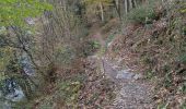 Tocht Stappen Bouillon - Laddertjeswandeling-Poupehan-Cretes de Frahan - Photo 10