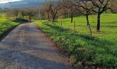 Tocht Wegfiets Beaulieu - Beaulieu - Cognin par la pisciculture  - Photo 15