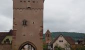 Excursión Senderismo Rosheim - Le vignoble de Rosheim - Photo 1