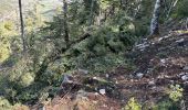 Trail Walking La Bastide - Le Lachens 2024 - Photo 4