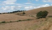 Trail Walking Estella-Lizarra - Mis Arcos - Photo 4