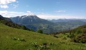 Tour Wandern Pontis - Pic de Morgon - Photo 16