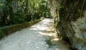 Randonnée Marche Cognin-les-Gorges - Cognin-les-Gorges - Gorges du Nan - Malleval-en-Vercors - Photo 4