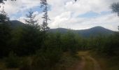 Tour Wandern Mühlbach an der Breusch - Le Jardin des Fées par la cascade de Soulzbach - Photo 5