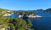 Tour Wandern Cassis - Cassis calanque port pin calanque d'en Vau - Photo 3