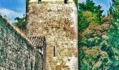 Tocht Te voet Barbaste - La Randonnée des Bastides et Châteaux en Albret - 21.4 km - Photo 8