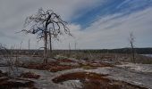 Tour Zu Fuß Unknown - Fornborgsslingan - Photo 4