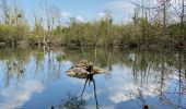 Trail Walking Seine-Port - Seine port 2 - Photo 1