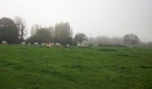 Trail Walking Belbeuf - 20221112-St Adrien - Photo 10