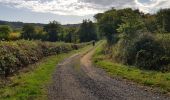 Tocht Stappen Orcival - La chaine des Puys - Photo 6