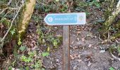 Trail Walking Mazamet - Mazamet passerelle  - Photo 11