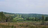 Percorso Marcia Malmedy - belle rando dans la vallée de l'amblève forêt et prairies - Photo 5
