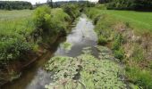 Tour Zu Fuß Nidda - Nidda-Rundweg - Photo 1