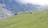Trail On foot Val-Cenis - Sentier des 2000 - Photo 3