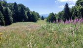 Tour Wandern La Chapelle-en-Vercors - serre plumé depuis carri par la bournette col de la baume grange de vauneyre col de la mure puis les cretes jusqu a pré bellet refuge de crobache lievre blanc scialet royer - Photo 3