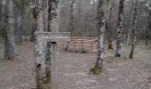 Trail Walking Sault - sault, saint trinit, aurel, sault - Photo 1