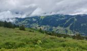 Excursión Senderismo Les Gets - morzine col du mont chery - Photo 2