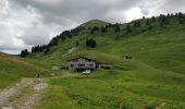 Randonnée Marche Samoëns - Les Allamands lac des Verdets - Photo 11