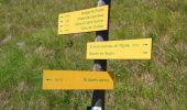 Trail Nordic walking Saint-Sorlin-d'Arves - Mont Corbier  - Photo 9