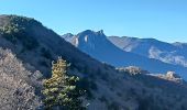 Trail Walking Sisteron - SISTERON.  Bois de la Bûche N - Photo 4