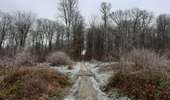 Tour Wandern Clavier - Pailhe - Photo 1