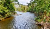 Tocht Stappen Dinant - Anseremme - Freyr - Walzin - Photo 2