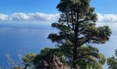 Tocht Stappen Valverde - Camino de Las Playas (El Hierro) - Photo 14