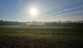 Tocht Te voet Bronckhorst - Markepad - Photo 1