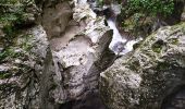 Trail Walking Bohinj - Gorges - Photo 1