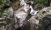 Tocht Stappen Bohinj - Gorges - Photo 1