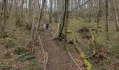 Trail Nordic walking Doische - vallée de l hermeton  - Photo 5